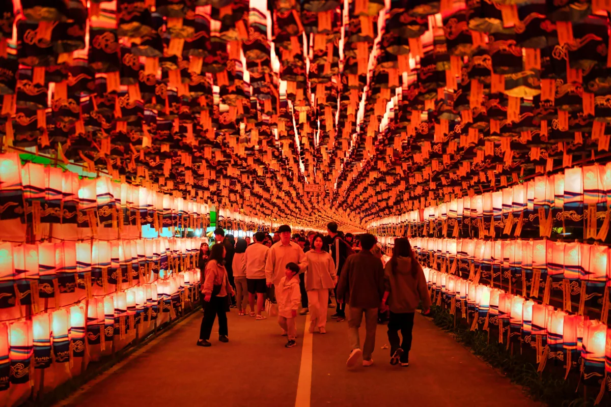 Asia's Most Spectacular Fall Festivals in 2026: Jinju's Lantern Festival, Himeji's Nada Fighting Festival and More