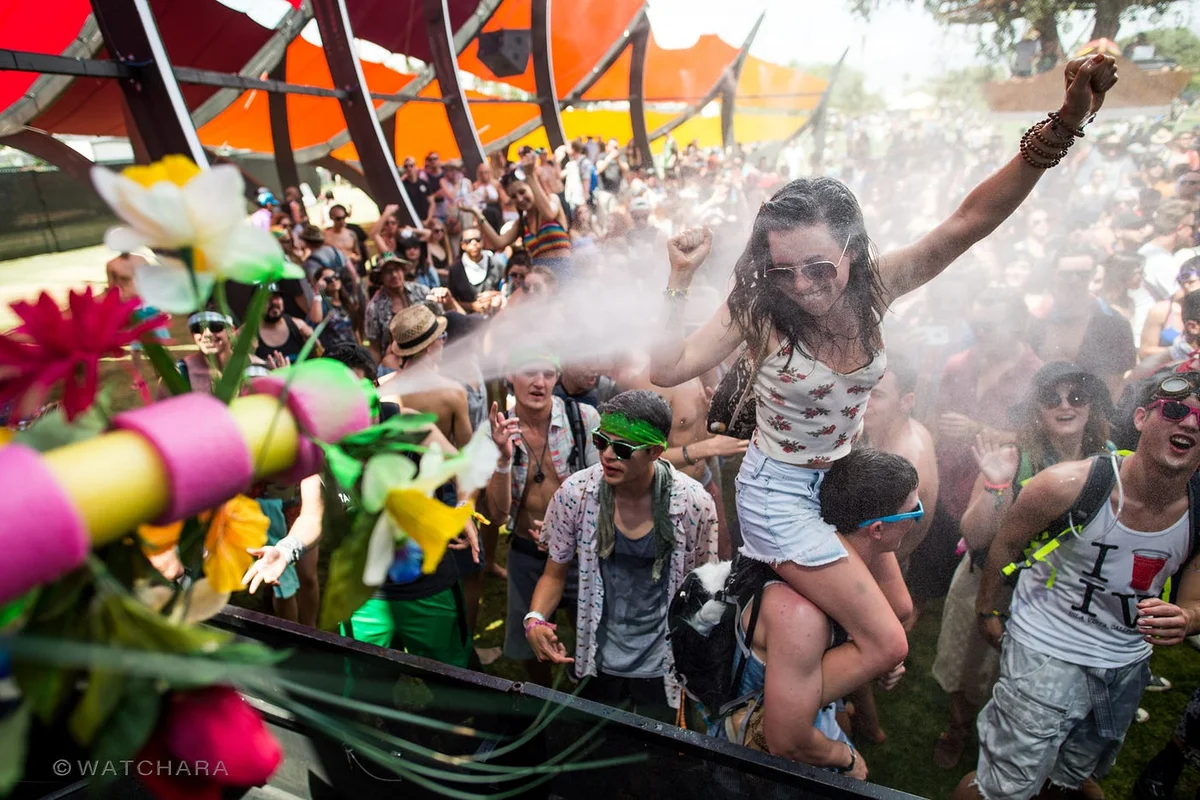 Festival Health 101: Hydration, Hearing Protection and Staying Well All Weekend